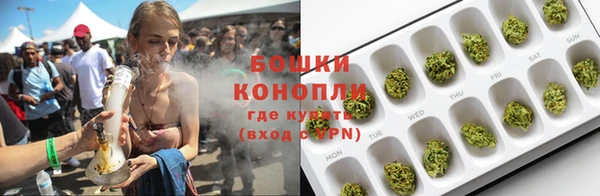 индика Снежинск