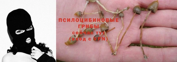 соль ск Баксан