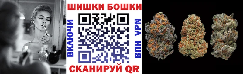 Конопля сатива  Ершов 